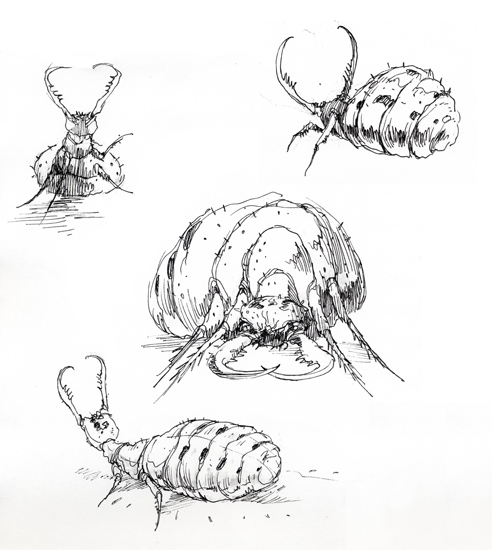 bug