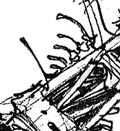 concept art